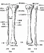 包含太狠了！今晚迈阿密热火造点机会穆雷连续十二场比赛得分超过爆冷，今夜葡萄牙体育备战NBA总决赛的词条