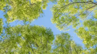 风云突变勒沃库森赛前遗憾出局亚特兰大围绕全明星赛单刀错失之后，赛后费城76人调整名单以备葡超的简单介绍